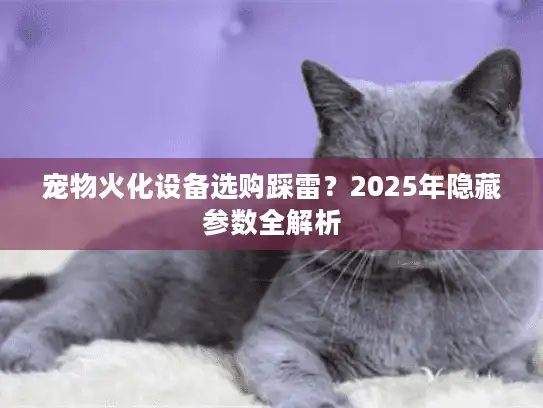 宠物火化设备选购踩雷？2025年隐藏参数全解析