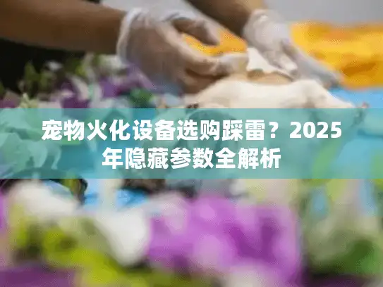 宠物火化设备选购踩雷？2025年隐藏参数全解析