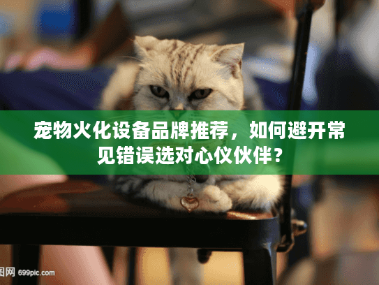 宠物火化设备品牌推荐，如何避开常见错误选对心仪伙伴？