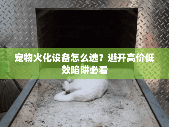 宠物火化设备怎么选？避开高价低效陷阱必看