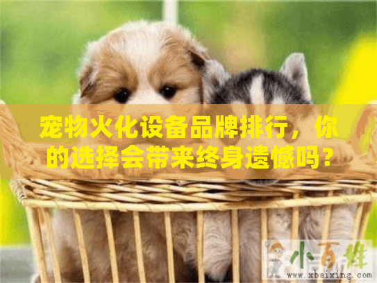 宠物火化设备品牌排行，你的选择会带来终身遗憾吗？