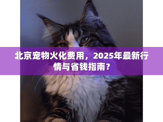 北京宠物火化费用，2025年最新行情与省钱指南？