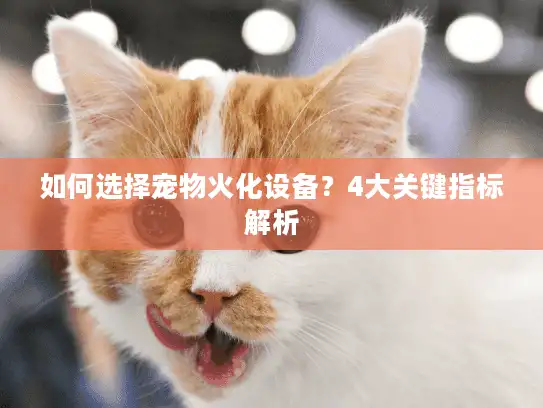 如何选择宠物火化设备？4大关键指标解析