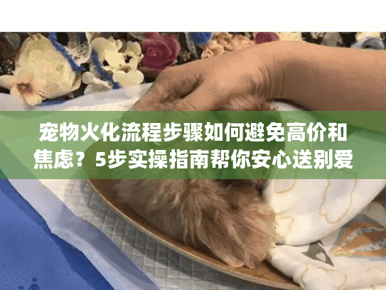 宠物火化流程步骤如何避免高价和焦虑?5步实操指南帮你安心送别爱宠 宠物火化流程步骤如何避免高价和焦虑?5步实操指南帮你安心送别爱宠