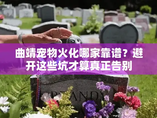 曲靖宠物火化哪家靠谱？避开这些坑才算真正告别