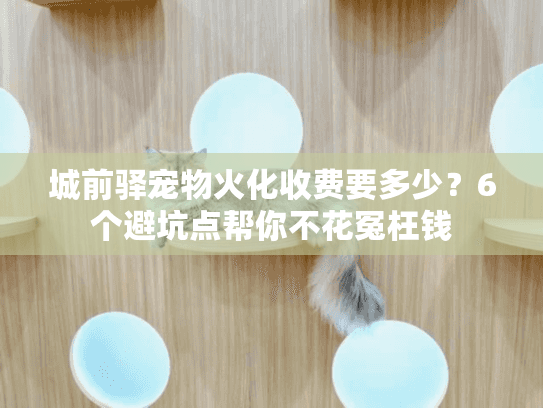 城前驿宠物火化收费要多少?6个避坑点帮你不花冤枉钱 城前驿宠物火化收费要多少?6个避坑点帮你不花冤枉钱