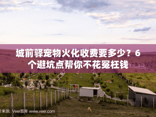 城前驿宠物火化收费要多少?6个避坑点帮你不花冤枉钱 城前驿宠物火化收费要多少?6个避坑点帮你不花冤枉钱