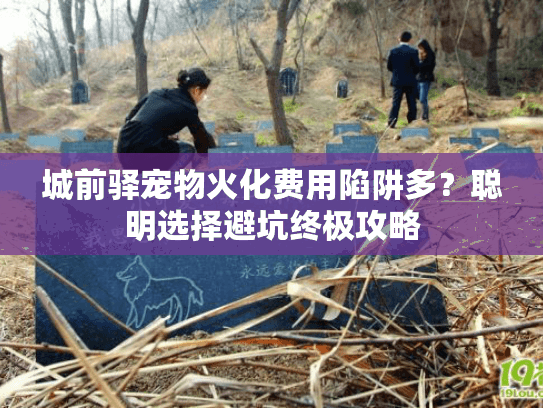 城前驿宠物火化费用陷阱多？聪明选择避坑终极攻略