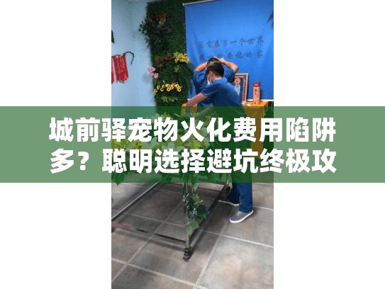 城前驿宠物火化费用陷阱多？聪明选择避坑终极攻略