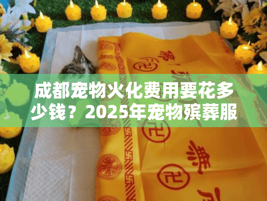 成都宠物火化费用要花多少钱？2025年宠物殡葬服务价格全面解析
