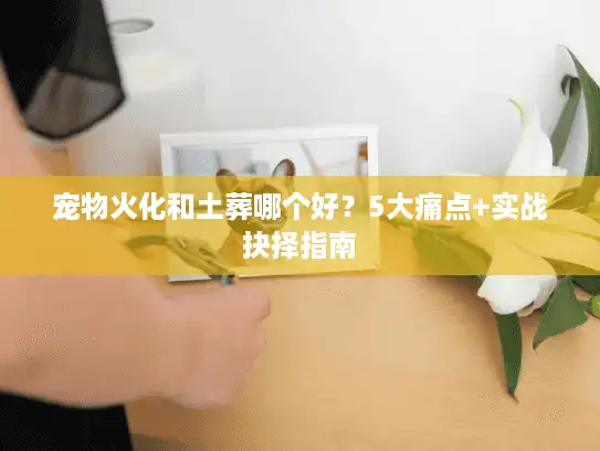 宠物火化和土葬哪个好？5大痛点+实战抉择指南