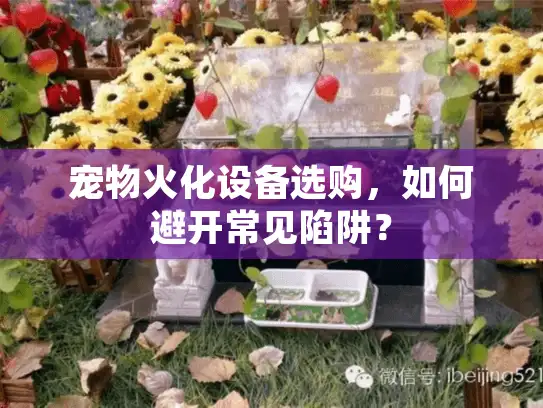 宠物火化设备选购，如何避开常见陷阱？
