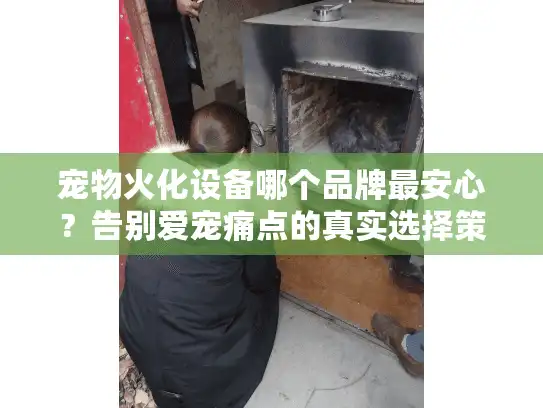 宠物火化设备哪个品牌最安心？告别爱宠痛点的真实选择策略