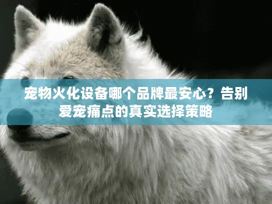 宠物火化设备哪个品牌最安心？告别爱宠痛点的真实选择策略