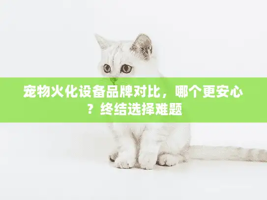 宠物火化设备品牌对比，哪个更安心？终结选择难题