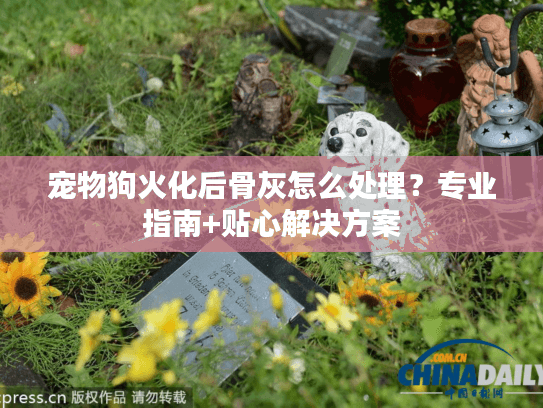 宠物狗火化后骨灰怎么处理?专业指南+贴心解决方案 宠物狗火化后骨灰怎么处理?专业指南+贴心解决方案