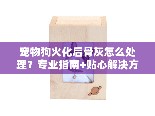 宠物狗火化后骨灰怎么处理?专业指南+贴心解决方案 宠物狗火化后骨灰怎么处理?专业指南+贴心解决方案