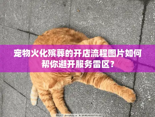 宠物火化殡葬的开店流程图片如何帮你避开服务雷区？