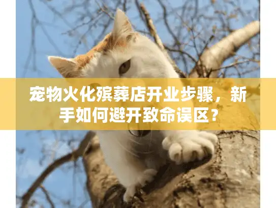 宠物火化殡葬店开业步骤，新手如何避开致命误区？