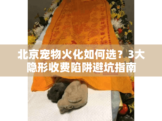 北京宠物火化如何选？3大隐形收费陷阱避坑指南