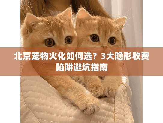 北京宠物火化如何选？3大隐形收费陷阱避坑指南