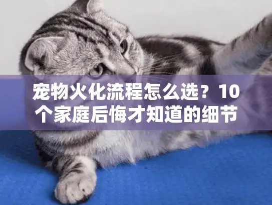 宠物火化流程怎么选?10个家庭后悔才知道的细节 宠物火化流程怎么选?10个家庭后悔才知道的细节
