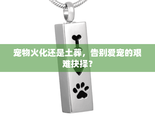 宠物火化还是土葬，告别爱宠的艰难抉择？
