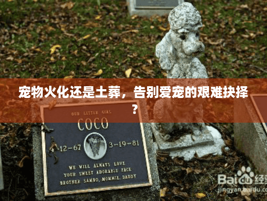 宠物火化还是土葬，告别爱宠的艰难抉择？