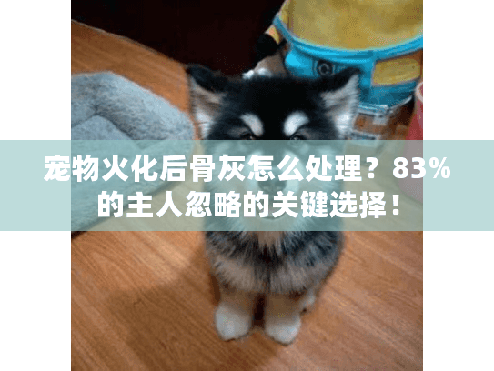 宠物火化后骨灰怎么处理?83%的主人忽略的关键选择! 宠物火化后骨灰怎么处理?83%的主人忽略的关键选择!