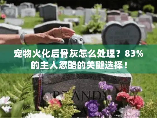 宠物火化后骨灰怎么处理?83%的主人忽略的关键选择! 宠物火化后骨灰怎么处理?83%的主人忽略的关键选择!