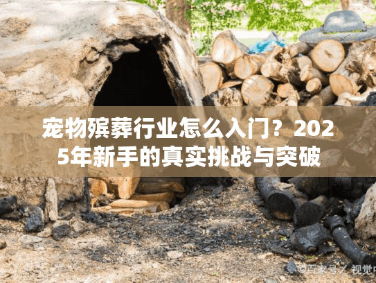 宠物殡葬行业怎么入门？2025年新手的真实挑战与突破