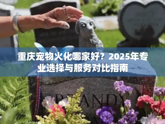 重庆宠物火化哪家好？2025年专业选择与服务对比指南