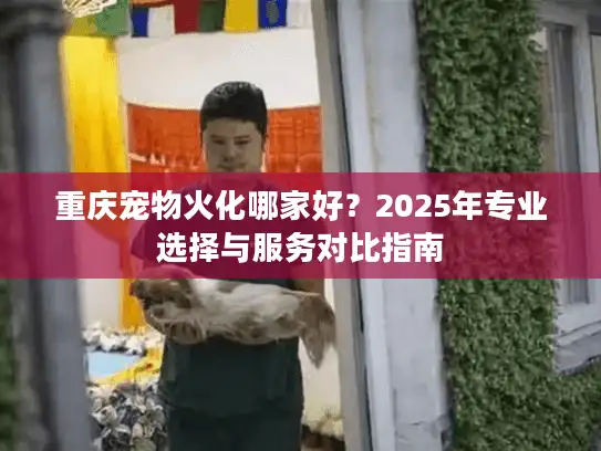 重庆宠物火化哪家好？2025年专业选择与服务对比指南