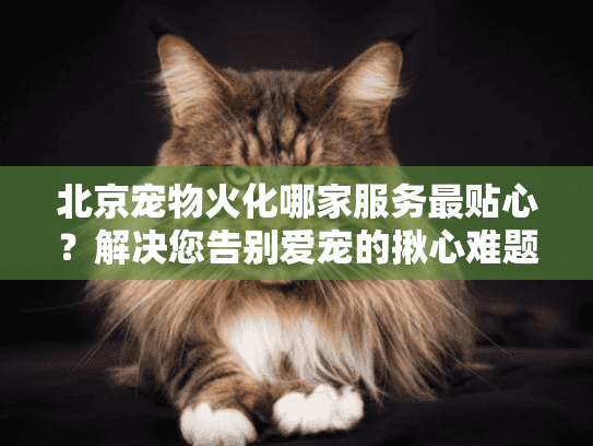 北京宠物火化哪家服务最贴心?解决您告别爱宠的揪心难题 北京宠物火化哪家服务最贴心?解决您告别爱宠的揪心难题