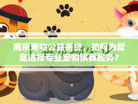 南京宠物公益善终，如何为爱宠选择专业宠物殡葬服务？