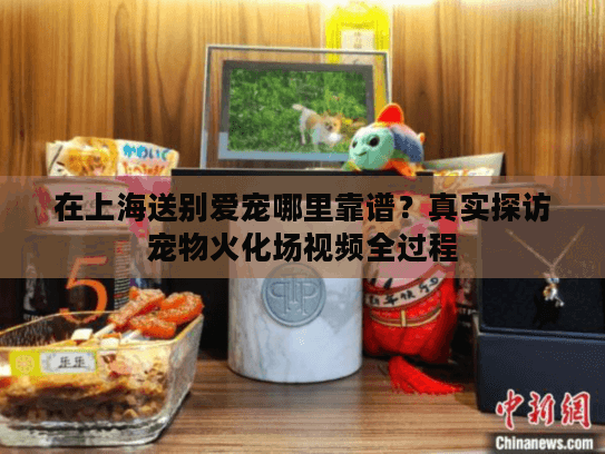 在上海送别爱宠哪里靠谱？真实探访宠物火化场视频全过程