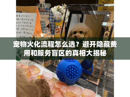 宠物火化流程怎么选？避开隐藏费用和服务盲区的真相大揭秘
