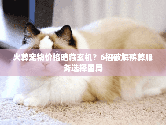 火葬宠物价格暗藏玄机?6招破解殡葬服务选择困局 火葬宠物价格暗藏玄机?6招破解殡葬服务选择困局