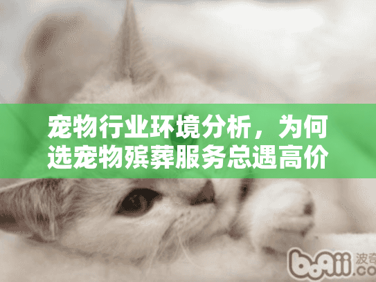 宠物行业环境分析，为何选宠物殡葬服务总遇高价陷阱？