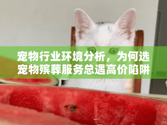宠物行业环境分析，为何选宠物殡葬服务总遇高价陷阱？