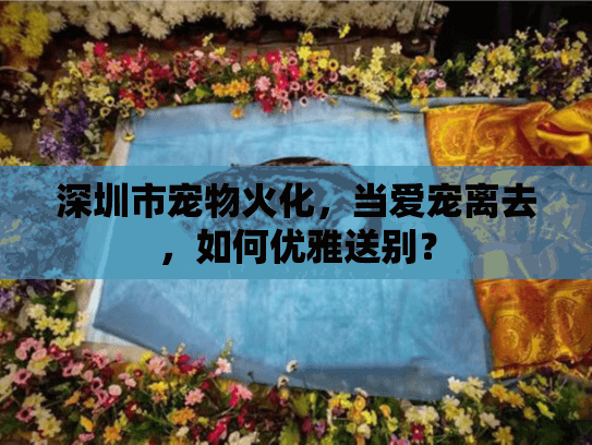 深圳市宠物火化，当爱宠离去，如何优雅送别？