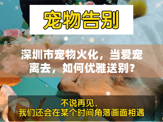 深圳市宠物火化，当爱宠离去，如何优雅送别？