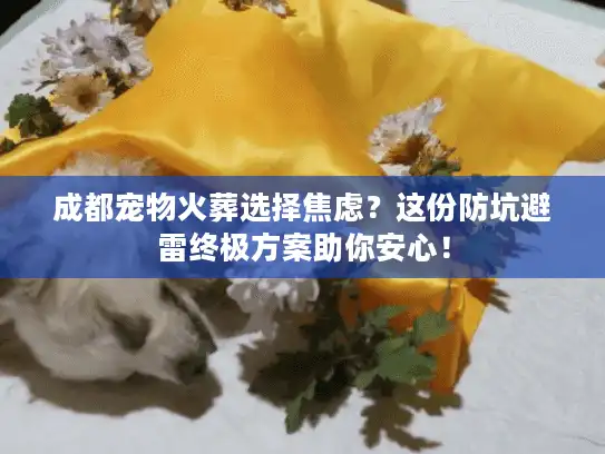 成都宠物火葬选择焦虑?这份防坑避雷终极方案助你安心! 成都宠物火葬选择焦虑?这份防坑避雷终极方案助你安心!