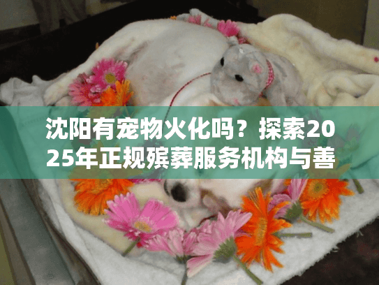 沈阳有宠物火化吗?探索2025年正规殡葬服务机构与善终指南 沈阳有宠物火化吗?探索2025年正规殡葬服务机构与善终指南