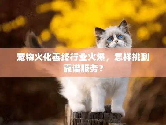 宠物火化善终行业火爆，怎样挑到靠谱服务？