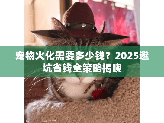 宠物火化需要多少钱?2025避坑省钱全策略揭晓 宠物火化需要多少钱?2025避坑省钱全策略揭晓