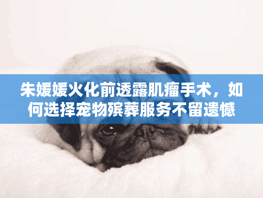 朱媛媛火化前透露肌瘤手术，如何选择宠物殡葬服务不留遗憾？