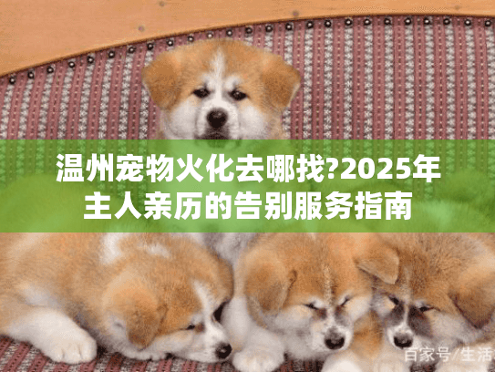 温州宠物火化去哪找?2025年主人亲历的告别服务指南