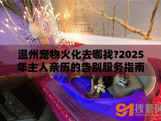 温州宠物火化去哪找?2025年主人亲历的告别服务指南