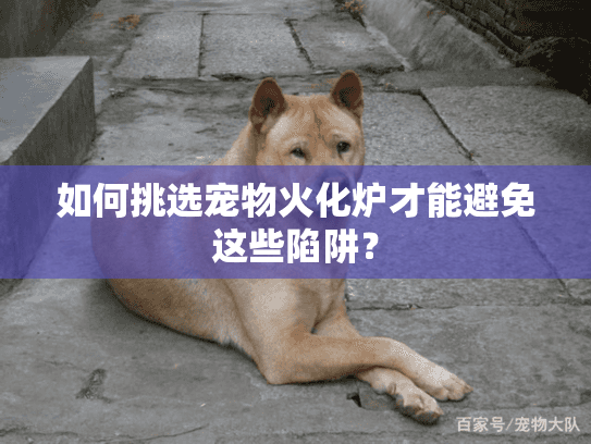 如何挑选宠物火化炉才能避免这些陷阱? 如何挑选宠物火化炉才能避免这些陷阱?